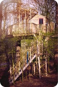 Feeërieke boomhut met majestueuze trap