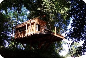 Hoge, boomhut, opbouw, bed and breakfast, treehouse, wood, cabin in the woods