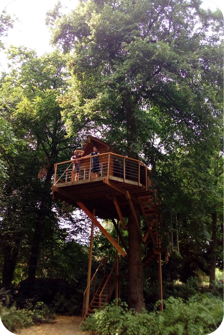 treehouse with a view