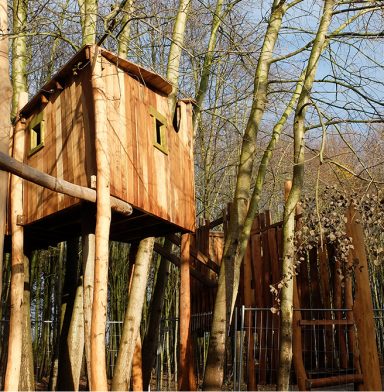 Boomhut met accacia stammen