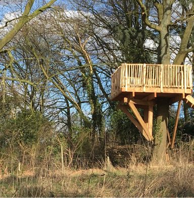 terras op hoogte uitkijk platform boomhut bouwen boomterras