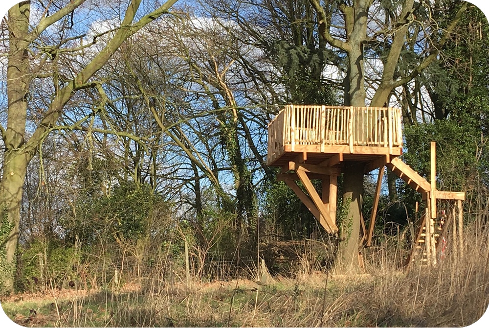 terras op hoogte uitkijk platform boomhut bouwen boomterras