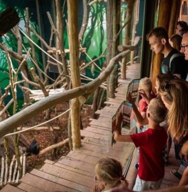 expeditie bonobo Planckendael