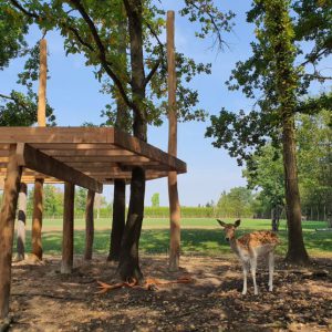 Speelhuisje hout platform