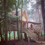 Boomhutje opgeleverd vandaag 😊 Overnachtingsplek voor 5 personen in Neeroeteren #Warredal #treehouse #dehoutbouwers
