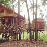 Treehouse nest outdoor video #treehouse #warredal #glamping #sauna  #proud at #dehoutbouwers