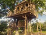 Boomhut in Kastanjehout. Built by @dehoutbouwers_be in 2021. Giant wooden playhouse in walnut tree. #treehouse #buitenspelen #boomhut